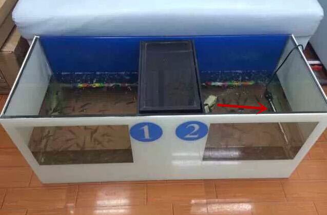 5F897B50E9771FDDA57D2695DA62DE