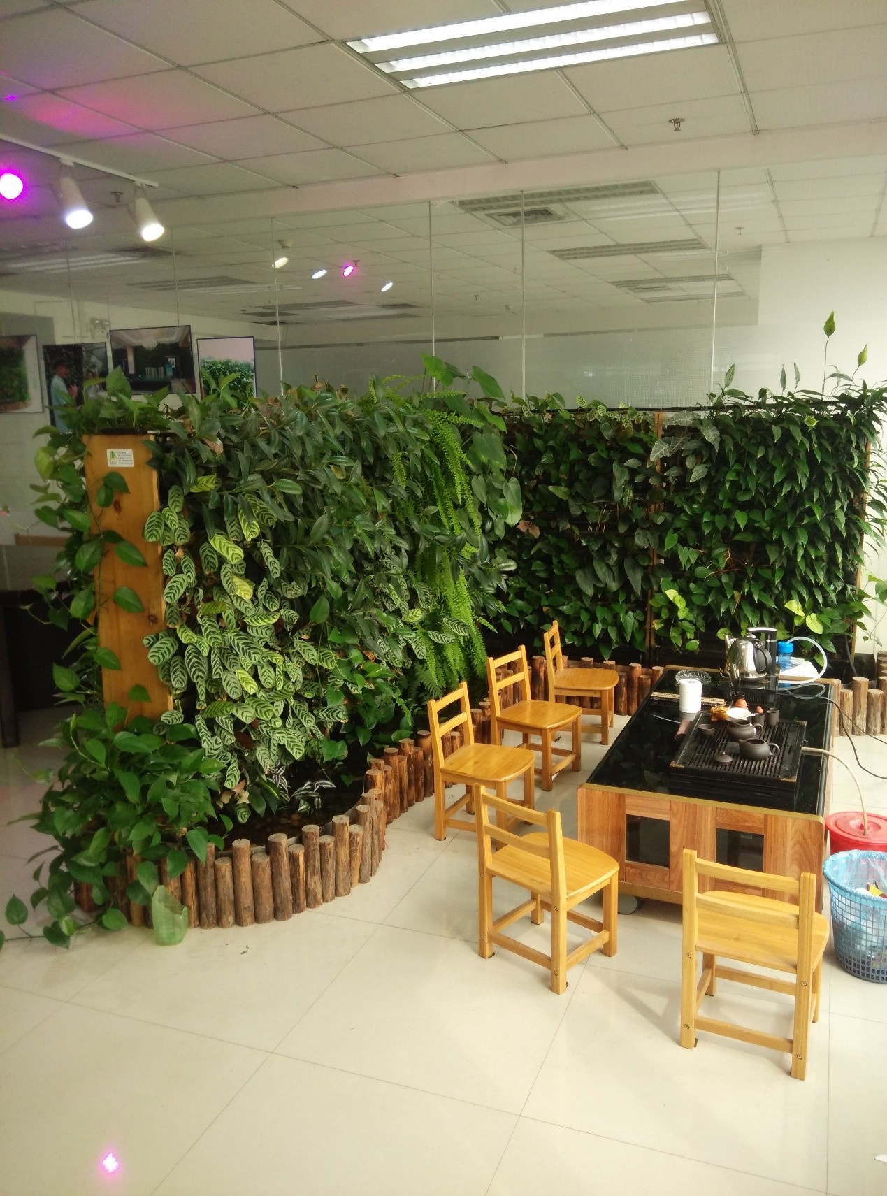 垂直绿化 室内景观 立体种植 墙面装修 植物幕墙 生态环保