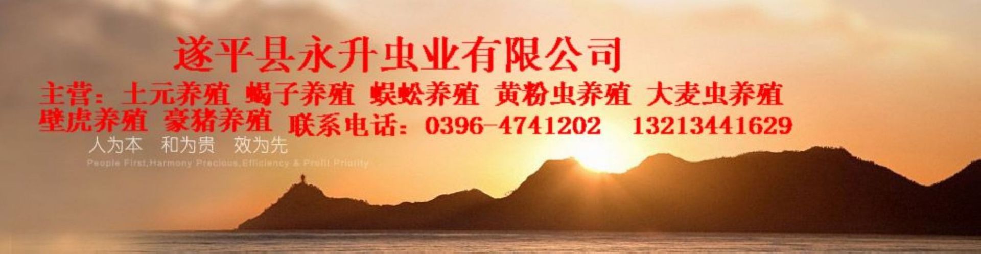 公司招牌300