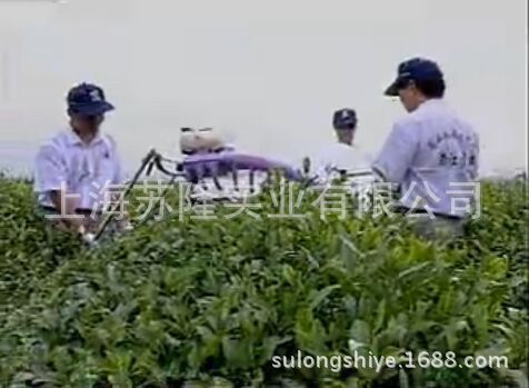 茶园管理专卖 汽油采茶机 单双人采茶机 金花菜采收机