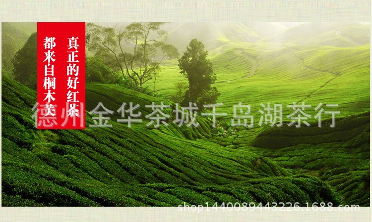 德州金华茶城千岛湖茶行 供应信息 红茶 茶叶批发桂圆香小种红茶桐木