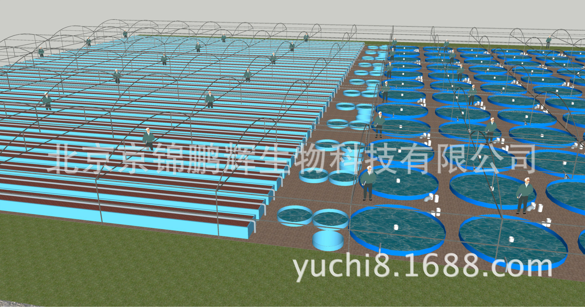 上一个 下一个 举报 鱼菜共生 旅游观光型温室工厂化循环水养鱼