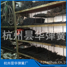 長期批發浙江彈簧 各種各樣的用途彈簧 彈簧加工