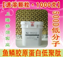 低分子 魚鱗 膠原蛋白粉 魚膠原蛋白 分子量500D 速溶顆粒OEM
