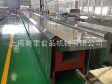 加工定制遠紅外隧道電烤爐 自動控溫恆溫電烤爐 食品烘焙設備定制