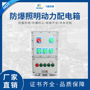 飛鼎 防爆照明動力配電箱 非標定制 防爆電控箱定做 防爆控制箱