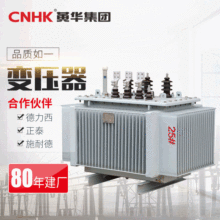 CNHK三相式灌封高低頻液/油浸式電源變壓器高壓柱上式變壓器