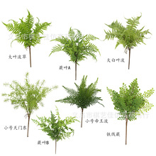 仿真植物背景牆草坪插花單支綠植塑料葉子餐廳客廳裝飾蕨類假花草