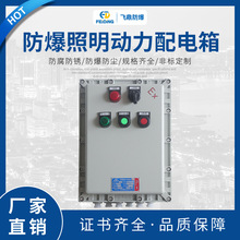 廠家防爆300 400配電箱 鋁合金防爆照明動力配電箱