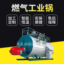 中壓天然工業鍋爐燃氣鍋爐工業全冷凝蒸汽鍋爐燃氣工業鍋現貨批發