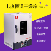 電熱恆溫干燥箱泰斯特WHLL-30BEWHL-125B/65B實驗室專用