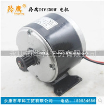羚鷹小小海豚迷你電動車滑板車電機12v250w皮帶輪傳動同步輪電機