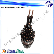 屏蔽鎧裝阻燃控制電纜ZR-KVVP22-10x2.5+1x2.5