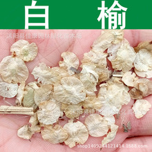 林木種子 白榆樹種子 榆錢樹種子 家榆 白榆種子 1件=1斤