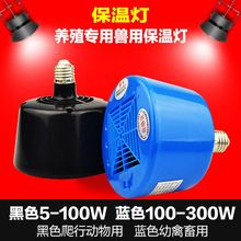 保溫燈 寵物保溫器 育雛取暖燈 暖風燈 養殖二代三代 爬蟲保溫燈