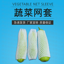 蔬菜水果網套 西紅柿西葫蘆苦瓜蔬菜水果網套雞蛋包裝盒 防震網套