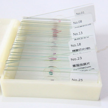25種動物標本生物切片新搭配套裝組織清晰顯微鏡配件生物玻片標本