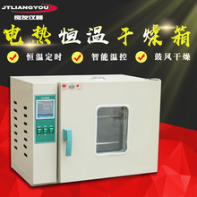 供應101A-0電熱鼓風干燥箱恆溫箱 數顯恆溫干燥箱 實驗室高溫烘箱