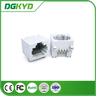 RJ45 ȫܾWB Ұɫ 8P8C V