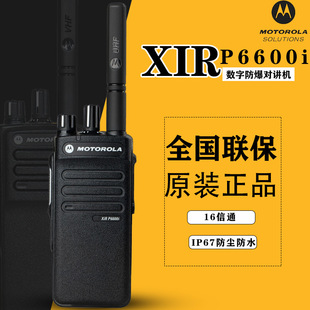 mĦ_XIR P6600iַDMRvCֳ֙C̨ú