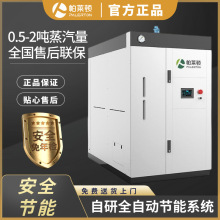 帕萊頓免報檢貫流式商用燃氣蒸汽發生器液化氣大型1噸2噸蒸汽鍋爐