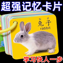 寶寶撕不爛有圖識字卡兒童雙面腹膜拼音漢字數字啟蒙早教認知卡片