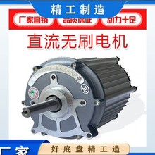 廠家直銷電動三輪車大功率交流電機五孔通用72V601000W馬達電機電