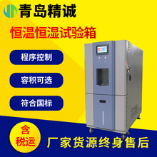 高低溫試驗箱小型冷熱沖擊濕熱老化一體機可程式恆溫恆濕實驗箱