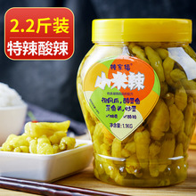 2.2斤特辣泡椒小米辣酸辣特辣商用湖南新鮮辣椒朝天椒剁椒斤大瓶