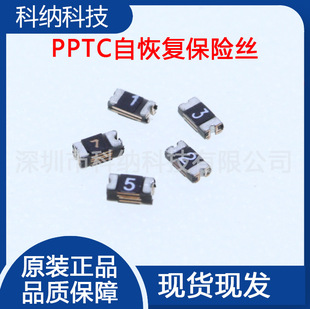 PPTC 0603 0.25A NƬԻ֏ͱUz SMD 250mA 6V 9V 12V 16V 24V