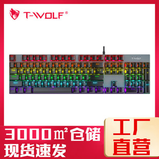 T-WOLFT17CеIPSlΑIPRGB늸Cе104I