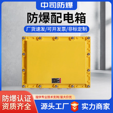 防爆接線箱照明動力箱隔爆型防爆配電箱定制防爆端子模塊箱儀表箱