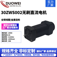 多維電機廠家供應30mm直流永磁無刷電機12V/24V/36V微型電動機