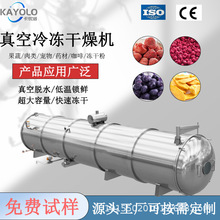 75㎡中大型水果商用工業級凍干機器蔬菜真空冷凍干燥機中草葯設備