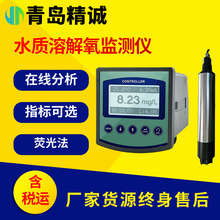 溶氧儀溶解氧傳感器在線水質含氧量水質檢測測定儀電極DO污水養殖