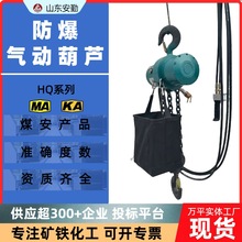 防爆氣動葫蘆 1噸3噸5噸起重葫蘆防過載保護 礦用HQ氣動葫蘆批發