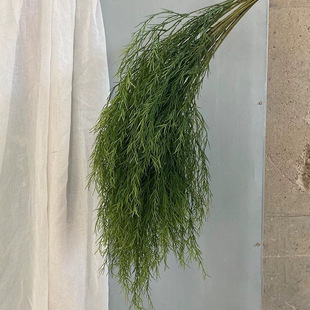 網紅爆款仿真綠植蘆荀草龍須草花藝師首選鬙系婚禮花藝布置手捧花