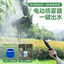 電動噴霧器噴霧槍澆水澆花簡易自動灑水噴頭充電噴水槍打葯噴槍