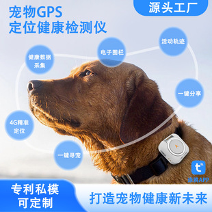 ײͽM zy羳ȫGPS؈䶨λG4G׷ۙ