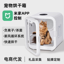 寵物烘干箱烘毛箱貓咪家用小型洗澡全自動靜音寵物用烘干機神器