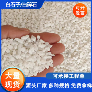 廠家批發白石子日式枯山水造景裝飾用水洗石水磨石子碎石頭白礫石