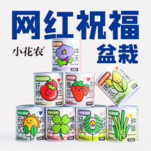 網紅款祝福盆栽綠植 廠家批發 新款小花農趣味祝福語種植桌面擺件