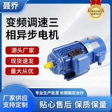 上海聶喬YVF變頻三相異步電動機6極調速電機YVP無極變速電機馬達