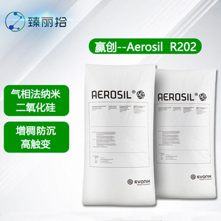 ʰƷA෨̼/̿AEROSIL R202{׼