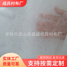 廠家直供襯布服裝雙點無紡襯布漿點水洗襯尼龍襯粘合襯 無紡布襯