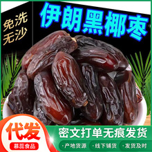 伊朗黑椰棗蜜棗新棗一件代發批發 阿聯酋特產無沙耶棗清洗黑椰棗