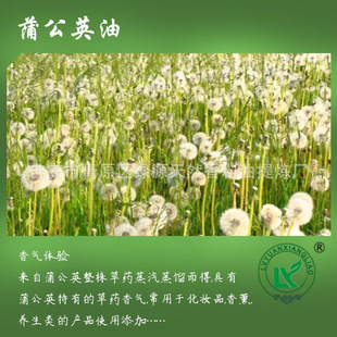 ѹӢDandelion oil  Sض޹yƷȻѹӢ