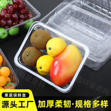 一次性塑料托盤超市生鮮水果蔬菜食品打包盒透明保鮮包裝盒批發