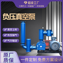 負壓真空泵定制 小型精密大吸力負壓泵低噪音