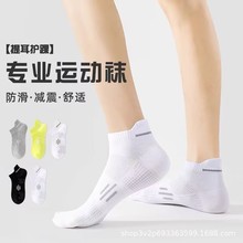 襪子男士短襪春秋冬純棉防臭吸汗男襪青少年白色短款全棉運動男款